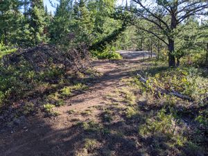 View of Cap Lake site