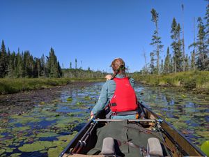 Heading into Roe Lake