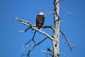 IMG_6319.JPG