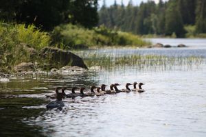 IMG_6345.JPG