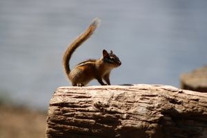 IMG_6381.JPG