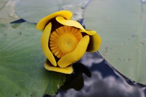 IMG_6591.JPG
