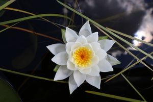 IMG_6592.JPG