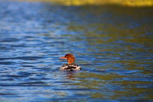 IMG_6659.JPG