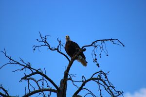 IMG_6674.JPG