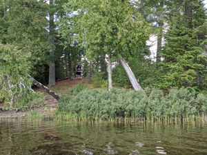 SW Alder island