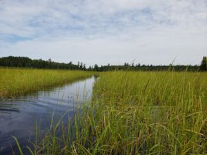 Nina Moose River