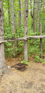 Campsite on Petawawa