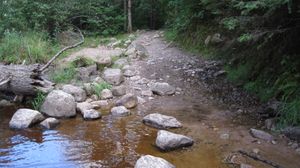 Moose River 20 rod - west landing
