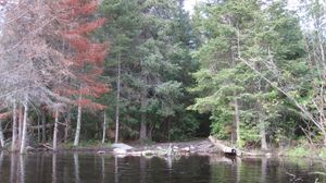 Moose River 25 rod - south landing