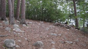 campsite 171