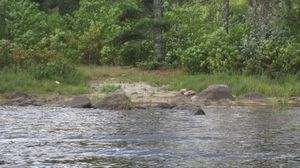 LLC to beaver pond 65 rod - west landing