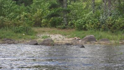 LLC to beaver pond 65 rod - west landing