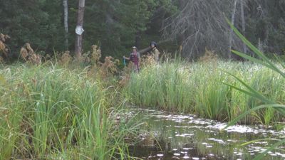 beaver pond to Iron 240 rod - west landing
