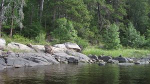 Curtain Falls portage - west landing