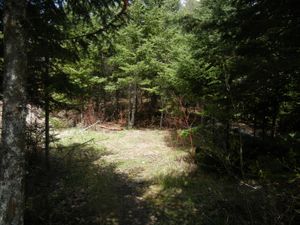 Campsite #2195