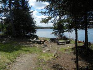 Campsite #2195