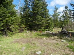 Campsite #2195