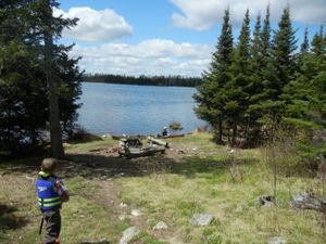 Campsite #2195