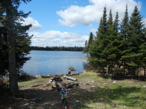 Campsite #2195