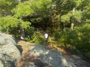 Rock towers between site and lake.