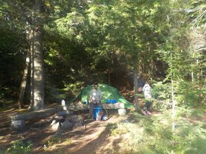Most of the site