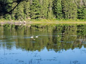20200905_172154.jpg