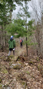 Border Trail