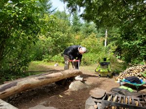Firewood