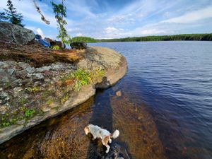 Canoe landing