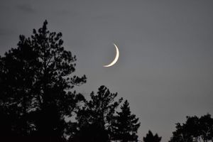 Moonset on Ashdick