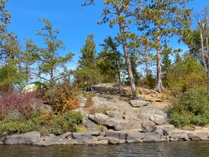 Campsite from lake