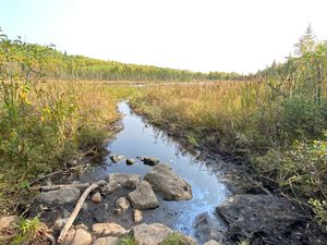 Fanlake portage