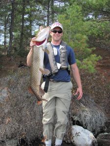 GIANT Northern