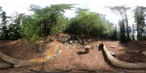Campsite 215