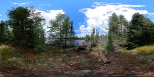 Campsite 206
