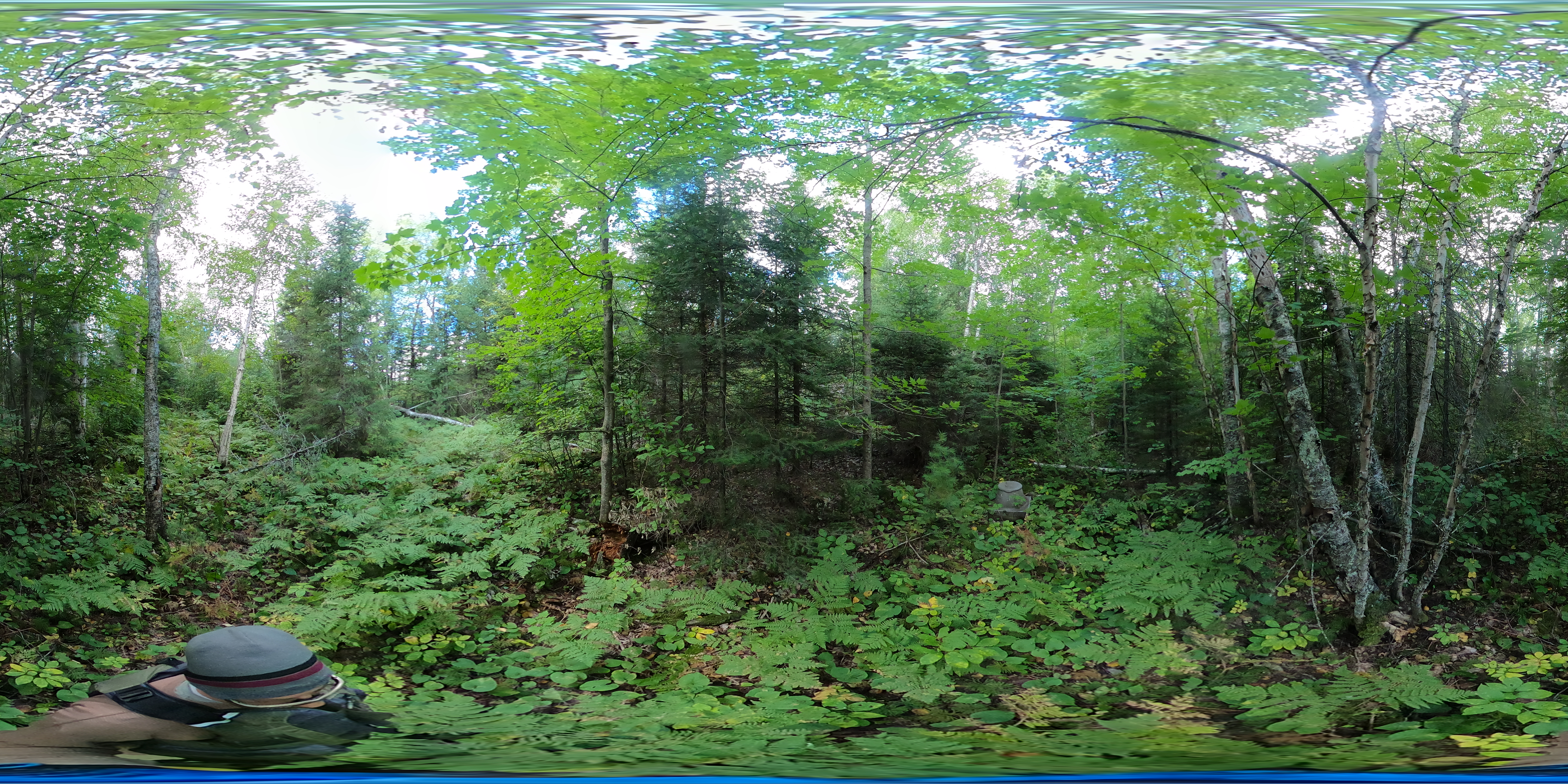 Campsite 206 Latrine