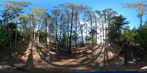 Campsite 230