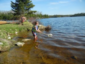 Minnow Fishing