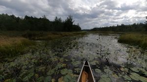 Choked Creek to Little Trout