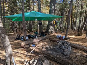 Pine grove site