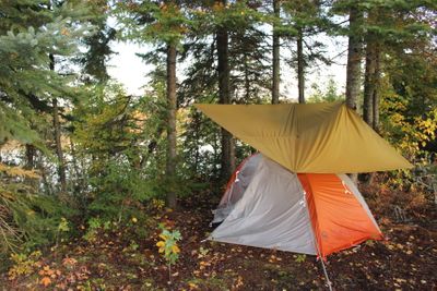 Campsite 52 - Tent area