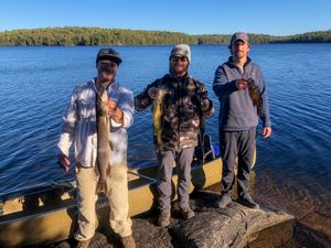 Fishing on Lynx