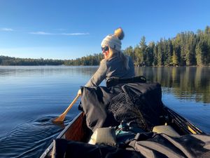 Paddling Lynx