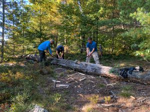 Chopping Wood