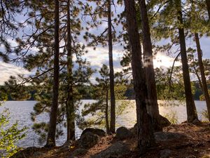 Loon Lake Site