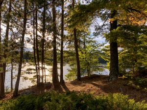 Loon Lake Site