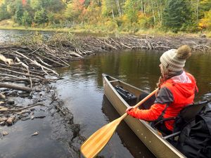 Beaver Dam