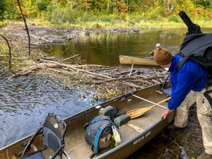 Pulling Over Beaver Dam