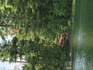 north portage landing
